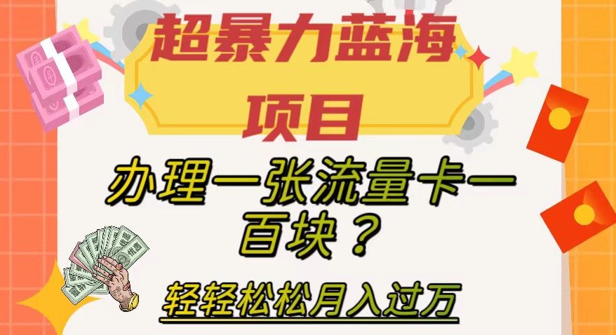 【副业项目8024期】超暴力蓝海项目，办理一张流量卡一百块？轻轻松松月入过万，保姆级教程【揭秘】-网创财富岛