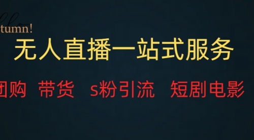 【副业项目7968期】无人直播全套服务，变现稳定-网创财富岛