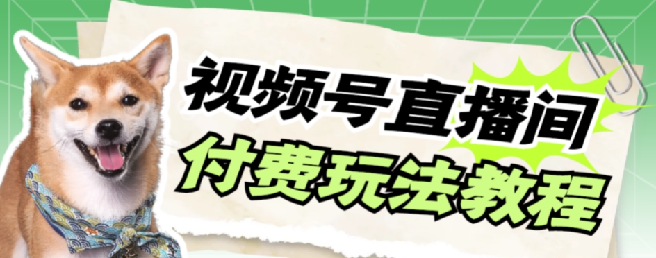 【副业项目7973期】视频号美女付费无人直播，轻松日入500+-网创财富岛