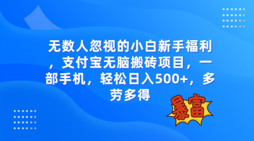 【副业项目8111期】无数人忽视的项目，支付宝无脑搬砖项目，一部手机即可操作，轻松日入500+-网创财富岛