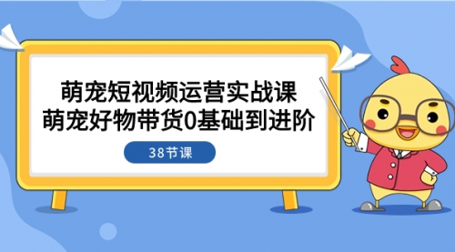 【副业项目8175期】萌宠·短视频运营实战课：萌宠好物带货0基础到进阶（38节课）-网创财富岛