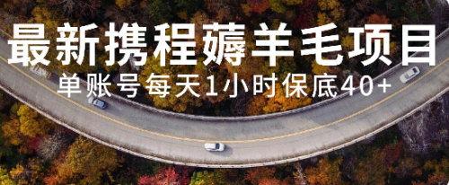 【副业项目8232期】最新携程薅羊毛项目，单账号每天1小时保底收益40+，可矩阵操作-网创财富岛