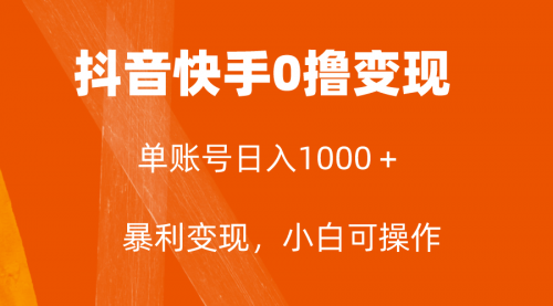 【副业项目8233期】全网首发，单账号收益日入1000＋，简单粗暴，保底5元一单，可批量单操作-网创财富岛
