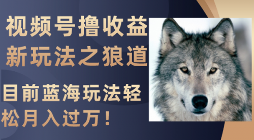 【副业项目8271期】视频号撸收益新玩法之狼道，目前蓝海玩法轻松月入过万！-网创财富岛