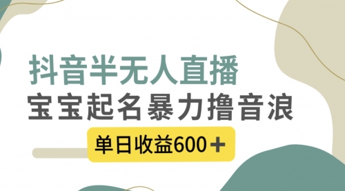 【副业项目8385期】抖音半无人直播，宝宝起名，暴力撸音浪，单日收益600+-网创财富岛