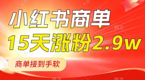 【副业项目8480期】小红书商单最新玩法，新号15天2.9w粉，接单到手软-网创财富岛