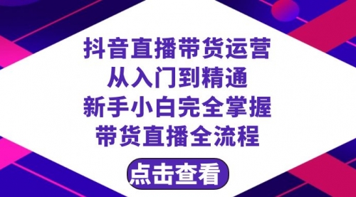 【副业项目8483期】抖音直播带货 运营从入门到精通，新手完全掌握带货直播全流程（23节-网创财富岛