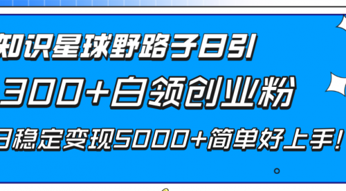 【副业项目8492期】知识星球野路子日引300+白领创业粉-网创财富岛