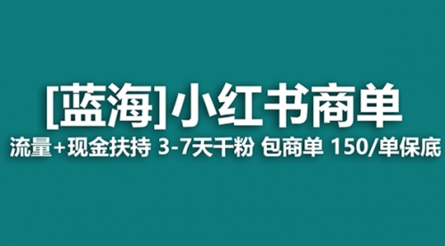 【副业项目8509期】最强蓝海项目，小红书商单！长期稳定，7天变现-网创财富岛