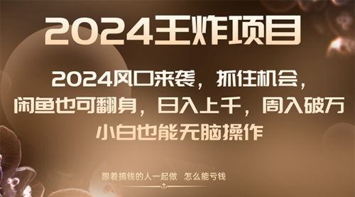 【副业项目8548期】2024闲鱼翻身项目，小白也可做-网创财富岛
