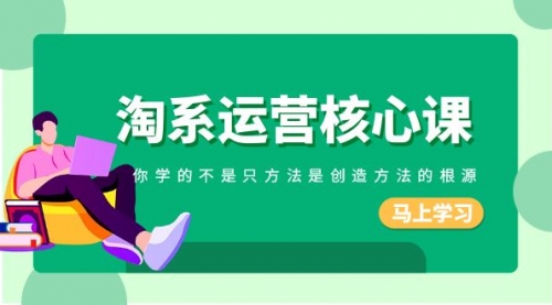 【副业项目8556期】淘系-运营核心课，你学的不是只方法是创造方法的根源-网创财富岛