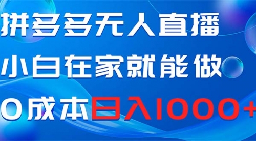 【副业项目8603期】拼多多无人直播，小白在家就能做，0成本日入1000+-网创财富岛