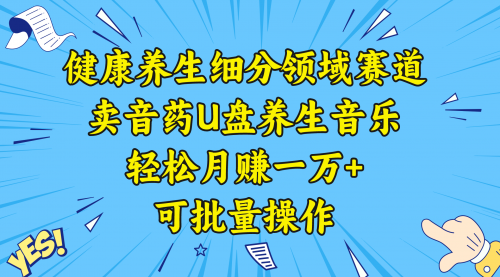 【副业项目8638期】健康养生细分领域赛道，卖音药U盘养生音乐，轻松月赚一万+，可批量操作-网创财富岛