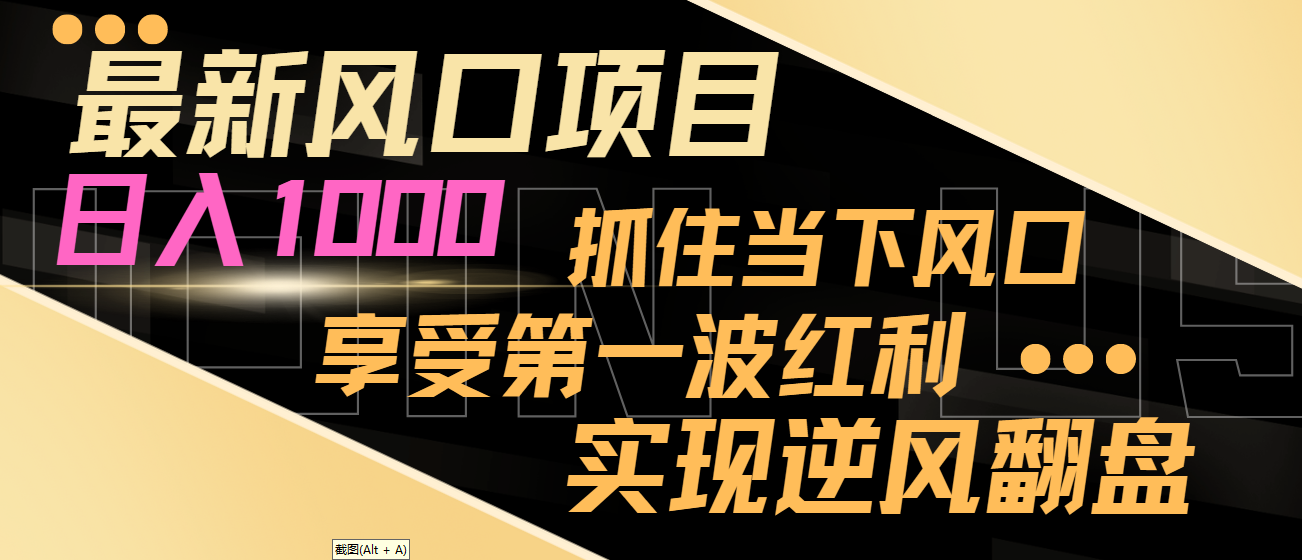 【副业8650期】最新风口项目，日入过千，抓住当下风口，享受第一波红利，实现逆风翻盘-网创财富岛