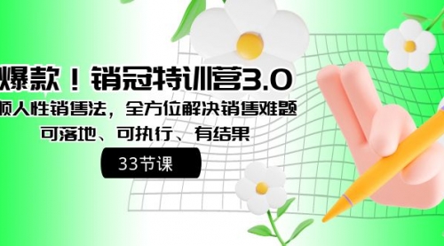 【副业8705期】销冠特训营3.0之顺人性销售法，全方位解决销售难题、可落地-网创财富岛