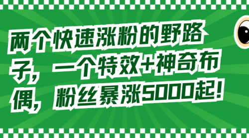 【副业8723期】两个快速涨粉的野路子，一个特效+神奇布偶，粉丝暴涨5000起！-网创财富岛