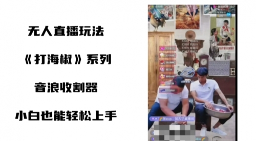 【副业8766期】打海椒无人直播整蛊项目，小白轻松上手撸音浪收割器（教程+工具+素材）-网创财富岛
