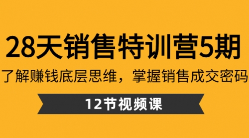 【副业8768期】28天·销售特训营5期：了解赚钱底层思维，掌握销售成交密码（12节课）-网创财富岛