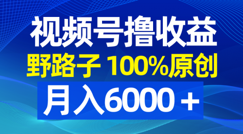 【副业8771期】视频号野路子撸收益，100%原创，条条爆款，月入6000＋-网创财富岛