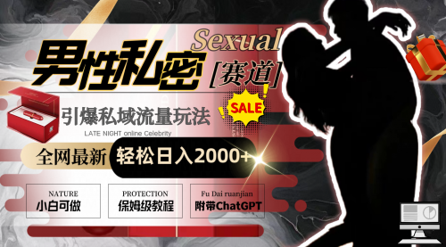 【副业8789期】全网最新男性私密赛道玩法，引爆私域流量，轻松日入2000+-网创财富岛