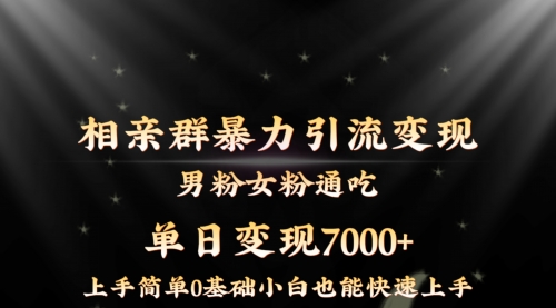 【副业8845期】相亲群暴力引流男粉女粉通吃变现玩法，单日变现7000+保姆教学1.0-网创财富岛