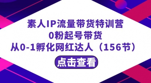 【副业8847期】繁星·计划素人IP流量带货特训营：0粉起号带货 从0-1孵化网红达人（156节）-网创财富岛