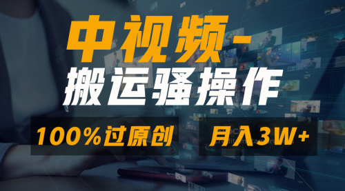 【副业8948期】无脑双重去重原创视频，100%中视频+视频号分成计划-网创财富岛