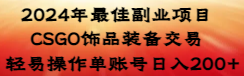 【副业8982期】2024年最佳副业项目 CSGO饰品装备交易 轻易操作单账号日入200+-网创财富岛