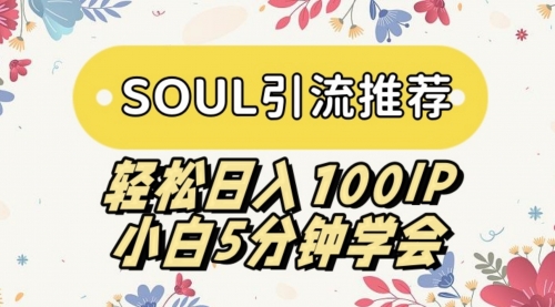 【副业9006期】SOUL引流推荐 轻松日入100IP 小白5分钟学会-网创财富岛