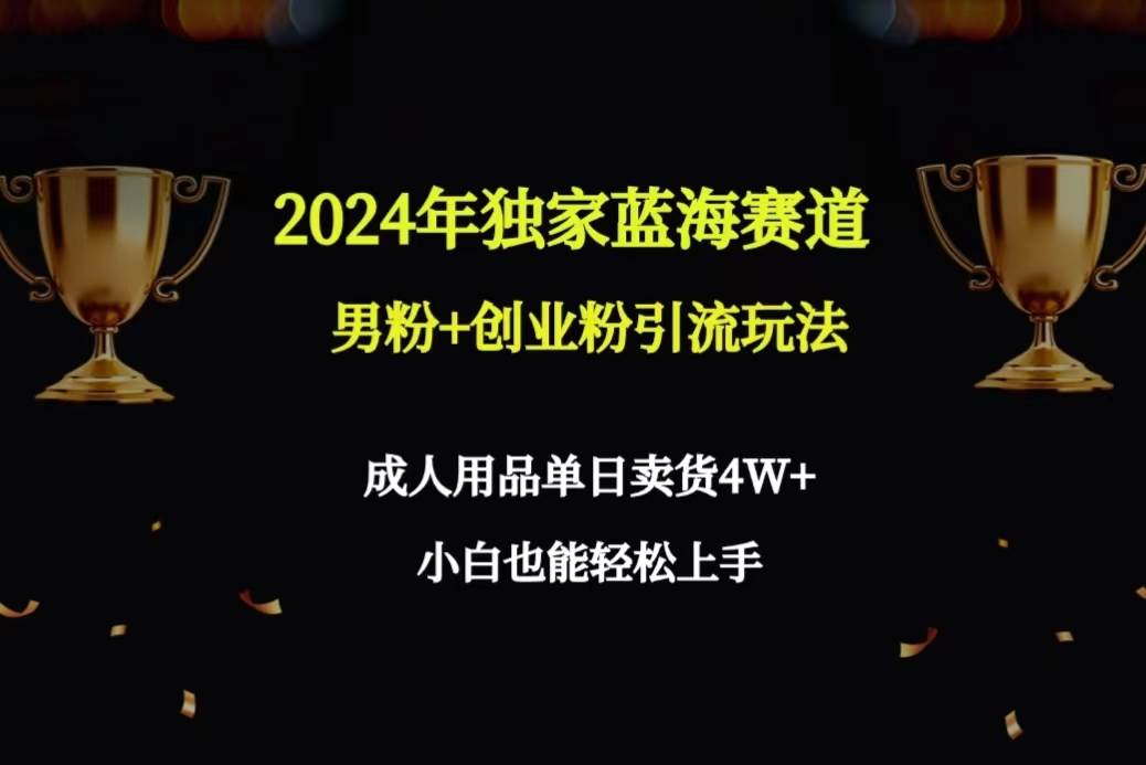 2024年独家蓝海赛道男粉+创业粉引流玩法，成人用品单日卖货4W+保姆教程-网创财富岛