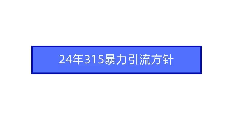 2024年315暴力引流方针-网创财富岛