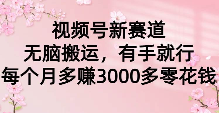 视频号新赛道，无脑搬运，有手就行，每个月多赚3000多零花钱-网创财富岛