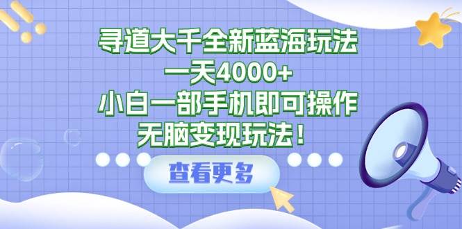 寻道大千全新蓝海玩法，一天4000+，小白一部手机即可操作，无脑变现玩法！-网创财富岛