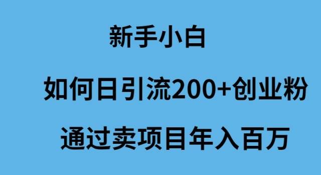 新手小白如何日引流200+创业粉通过卖项目年入百万-网创财富岛