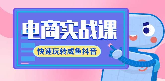 电商实战课，快速玩转咸鱼抖音，全体系全流程精细化咸鱼电商运营-71节课-网创财富岛