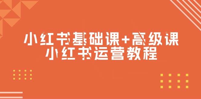小红书基础课+高级课-小红书运营教程（53节视频课）-网创财富岛