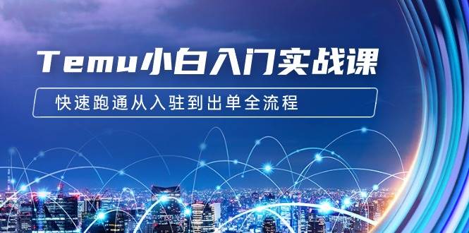 Temu小白入门实战课：跨境拼多多电商培训 快速跑通从入驻到出单全流程-12节-网创财富岛