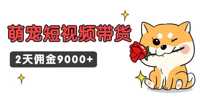 东哲日记·萌宠短视频带货，2天佣金9000+-网创财富岛