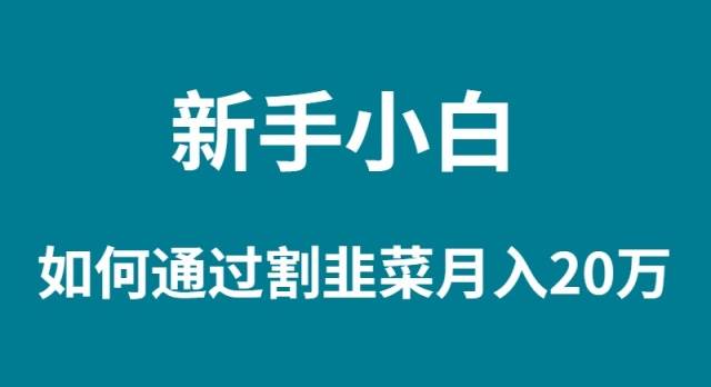新手小白如何通过割韭菜月入 20W-网创财富岛