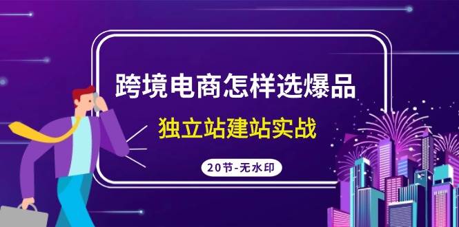 跨境电商怎样选爆品，独立站建站实战（20节高清无水印课）-网创财富岛