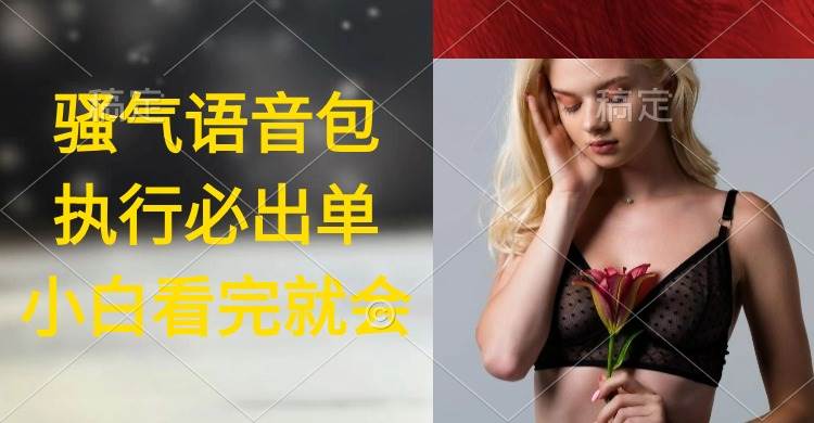 执行就出单，日入2000+，超火骚气语音包，小白看完课程就能马上实操-网创财富岛