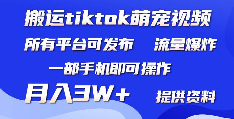 搬运Tiktok萌宠类视频，一部手机即可。所有短视频平台均可操作，月入3W+-网创财富岛