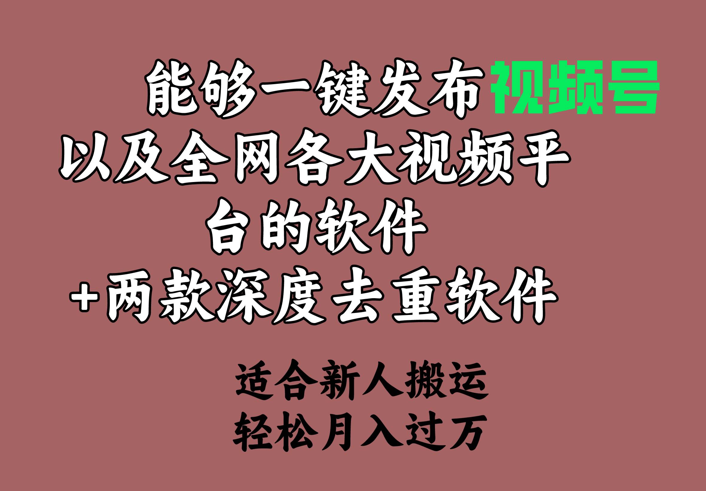 能够一键发布视频号以及全网各大视频平台的软件+两款深度去重软件 适合…-网创财富岛
