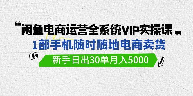 闲鱼电商运营全系统VIP实战课，1部手机随时随地卖货，新手日出30单月入5000-网创财富岛