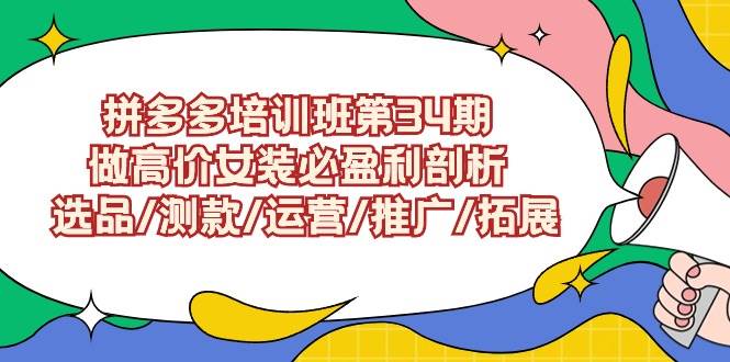拼多多培训班第34期：做高价女装必盈利剖析  选品/测款/运营/推广/拓展-网创财富岛
