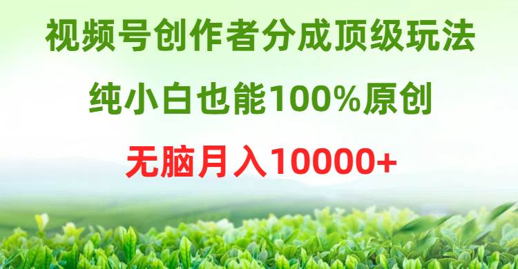 视频号创作者分成顶级玩法，纯小白也能100%原创，无脑月入10000+-网创财富岛