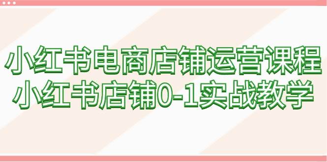 小红书电商店铺运营课程，小红书店铺0-1实战教学（60节课）-网创财富岛