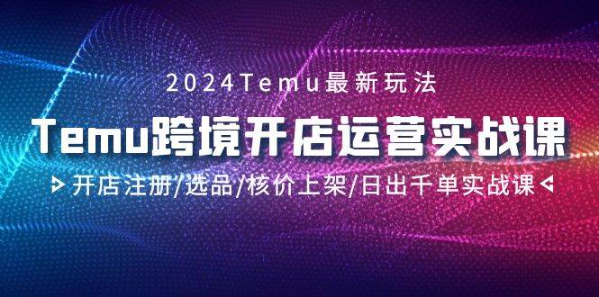 2024Temu跨境开店运营实战课，开店注册/选品/核价上架/日出千单实战课-网创财富岛