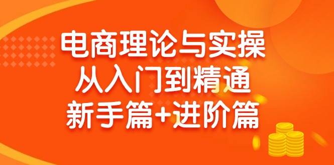 电商理论与实操从入门到精通 新手篇+进阶篇-网创财富岛