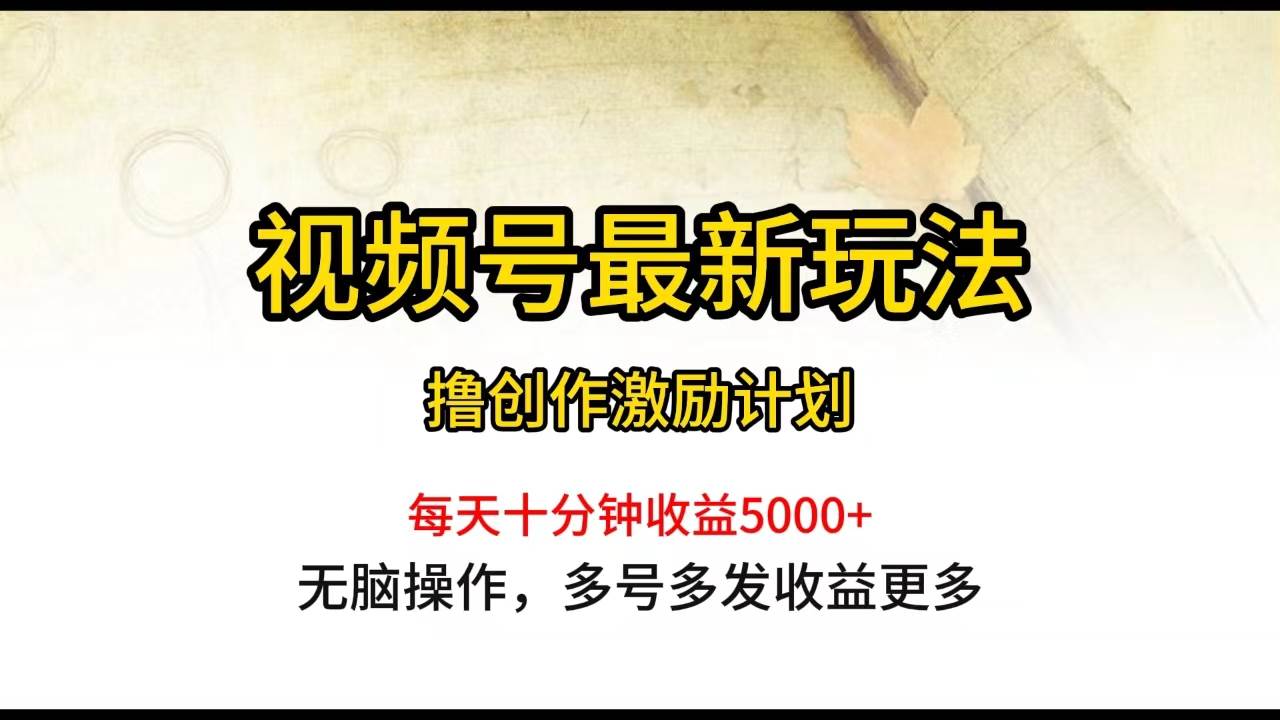 视频号最新玩法，每日一小时月入5000+-网创财富岛